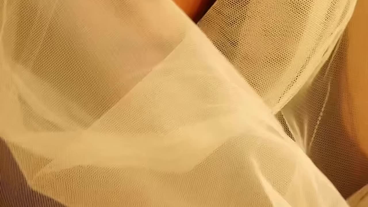 Celia Anderson (celia_anderson444)