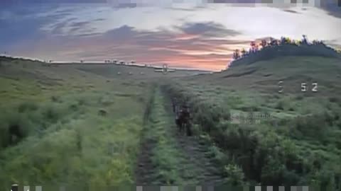 Russian Soldier Dragging Innocent Animals into A War Zone(Russian Horse Caught Up in Drone Strike)