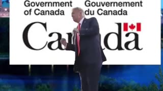 Trump Canada doesn’t know what they’re doing! Meme