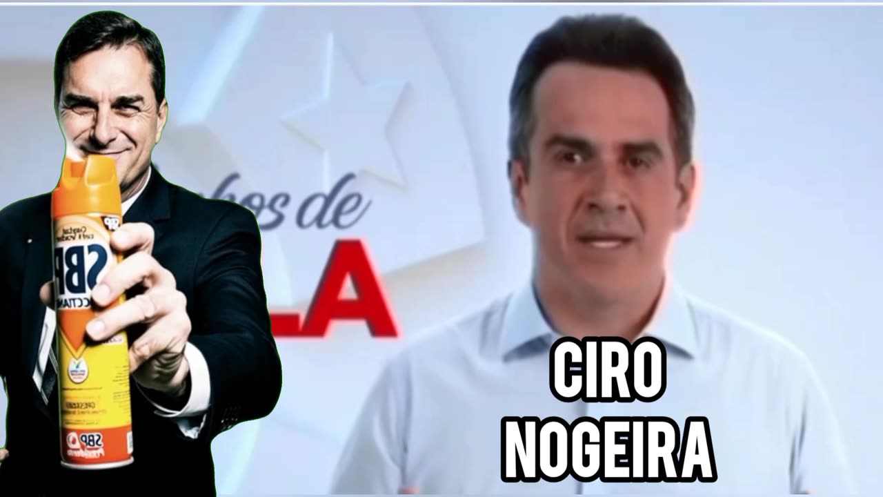 CIRO NOGEIRA O INSETO DO PP.