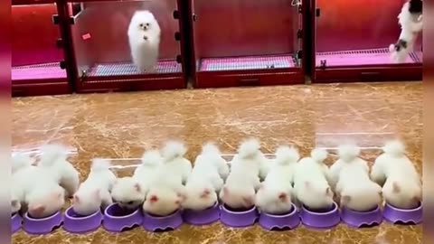 so cute