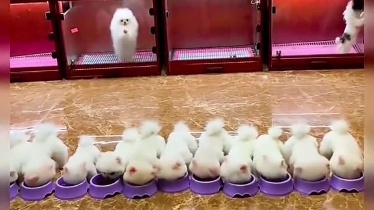 so cute