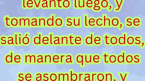 “Un milagro que asombra a todos” macros 2-12 #shortvideo #shorts #youtubeshorts #reels #ytshorts