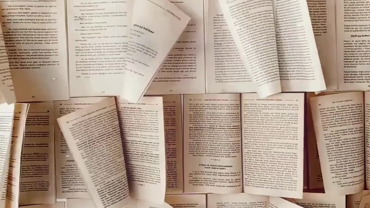 jurnalul primului an de viata