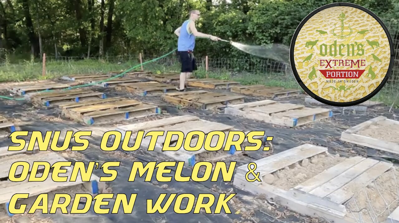 Snus Outdoors: Oden's Melon & Garden Work