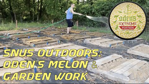 Snus Outdoors: Oden's Melon & Garden Work