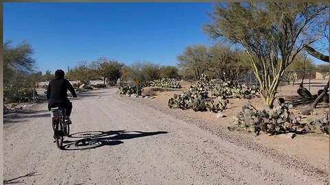 Biking The Loop in Tucson