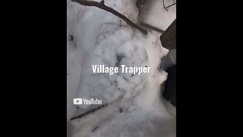 Alaskan Village Trapper