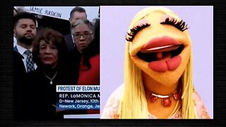 Democrat Clown Show Protest Over Elon Musk: Maxine Waters Looks Like a Muppet | Drew Berquist