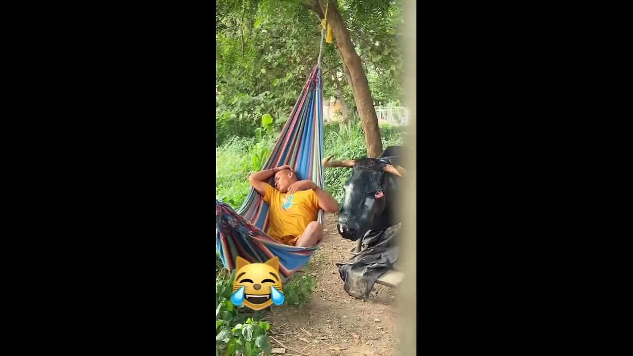 very funny video
