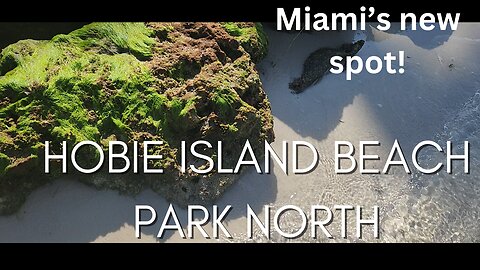 Hobie Island Beach Park North - New beautiful spot in Miami - January 27, 2025