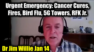 Dr Jim Willie Urgent Emergency: Cancer Cures, Fires, Bird Flu, 5G Towers, RFK Jr.