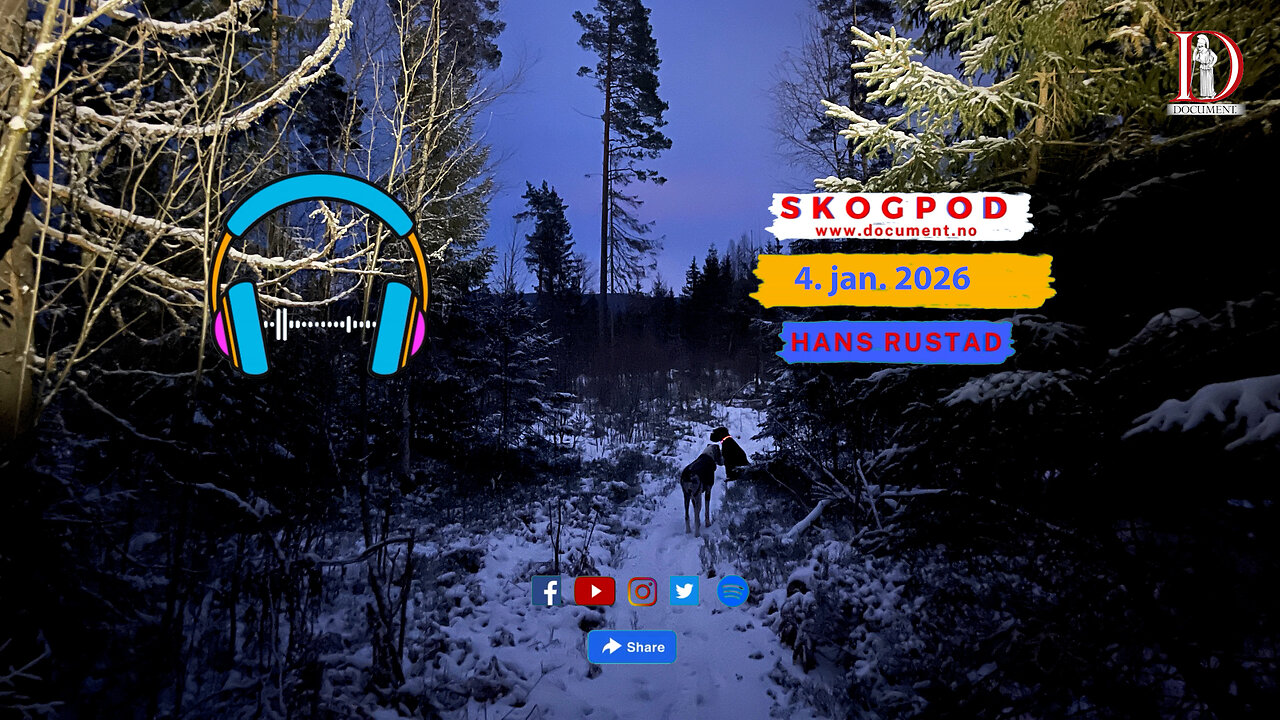 Skogpod 4. januar 2026