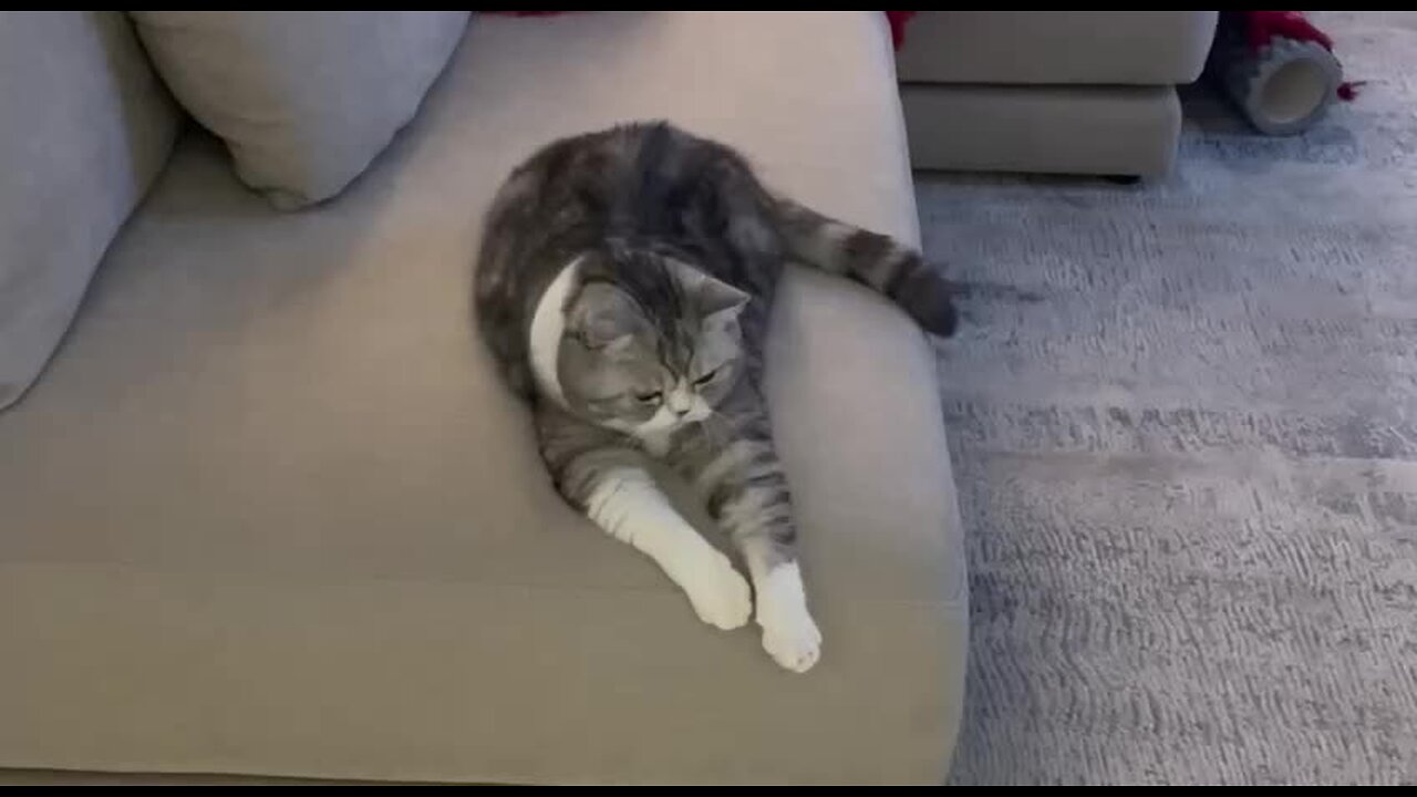 Test str with placeholder video