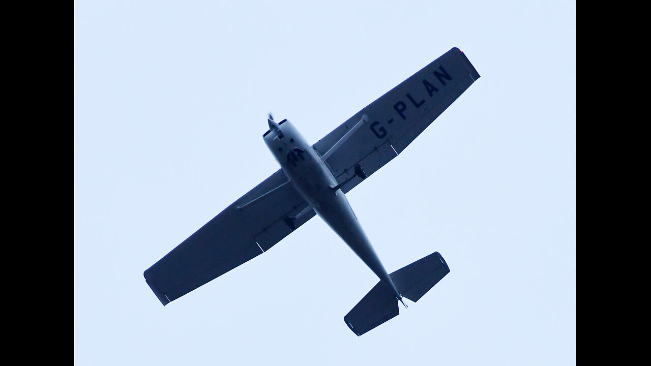 Tom Honeyman Terrorist air stalker/winged flying monkey