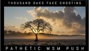 [Feb 11, 2020] Pathetic MSM Pushing Thousand Oaks Hoax Must See [williamgenske]