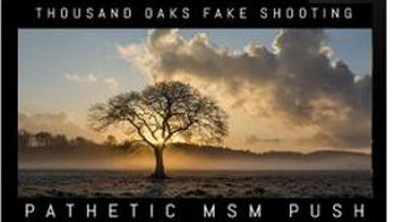 [Feb 11, 2020] Pathetic MSM Pushing Thousand Oaks Hoax Must See [williamgenske]