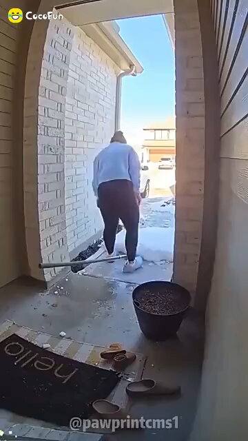 Dabrand hgm knows show