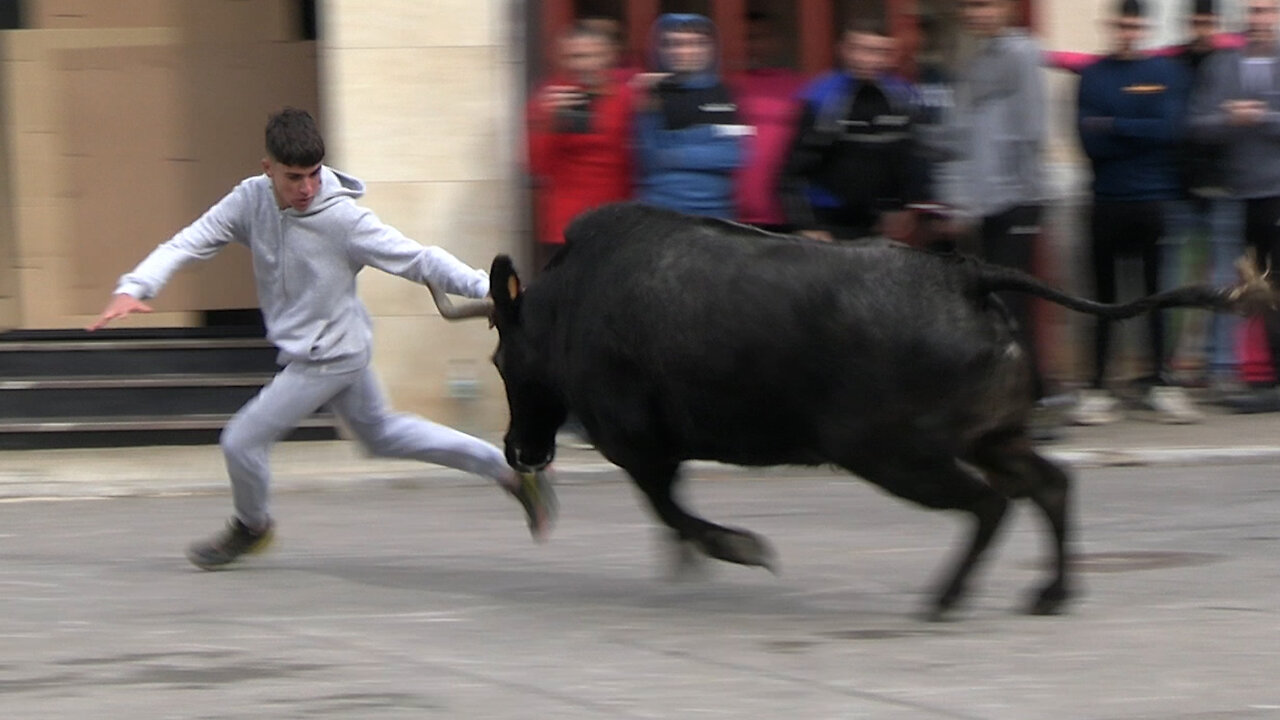 2025 11 08 LA SALSADELLA HNOS. BELLÉS