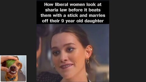 Memes That Will 99.0555% Make You Laugh. (e779)