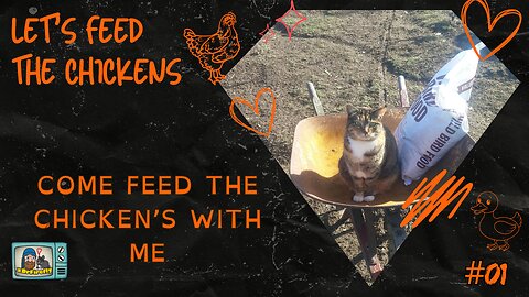 Come Feed the Chickens w/ me | Let's Feed the Chickens | E01