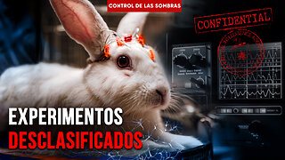 Telepatía, conejos y control mental: la verdad de los archivos de la CIA | Control de las sombras