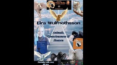 Beyond The Outer Realm -Animals, Consciousness & Heaven with Eira Wulfnothsson