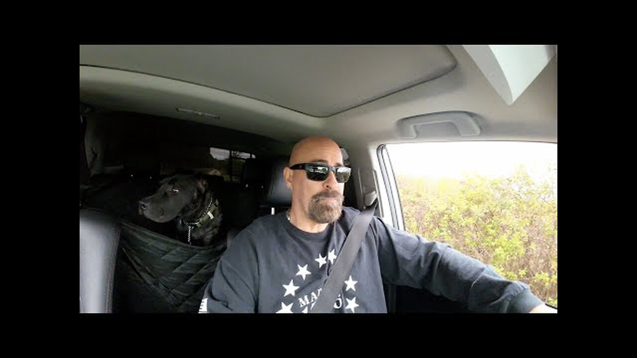 WHAT HAPPENS WHEN YOU HAVE TO SHOP FOR FOOD WARNING MONEY PRINTING IS BACK