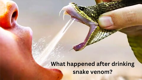 What happened after drinking snake venom