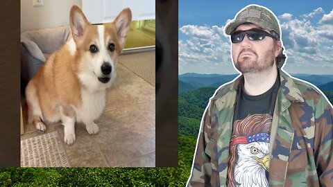 Happy Halloween! (Hammy And Olivia) - Reaction! (BBT)