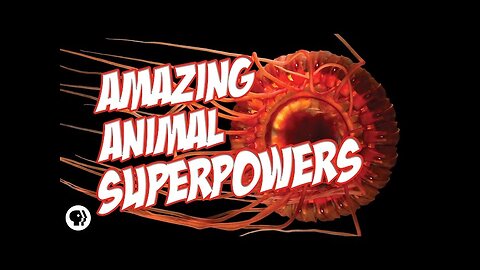 Nature's Most Amazing Animal Superpowers