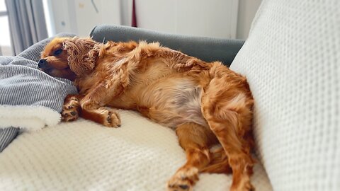 💝 my sweetheart ❤️