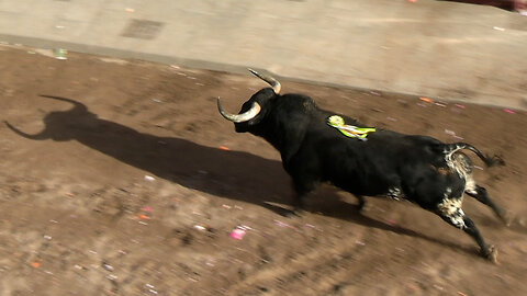 2025 09 13 RAFELBUÑOL COMISSIÓ CENTRE