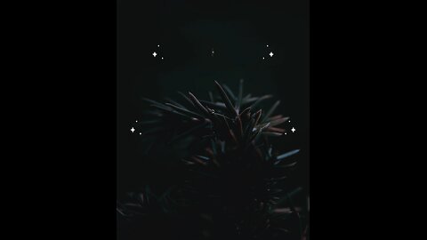 Hadees e nabvi (saw ) #islam #islamicvideo #viralreels #ProphetMuhammadSAW #hadessmubarak