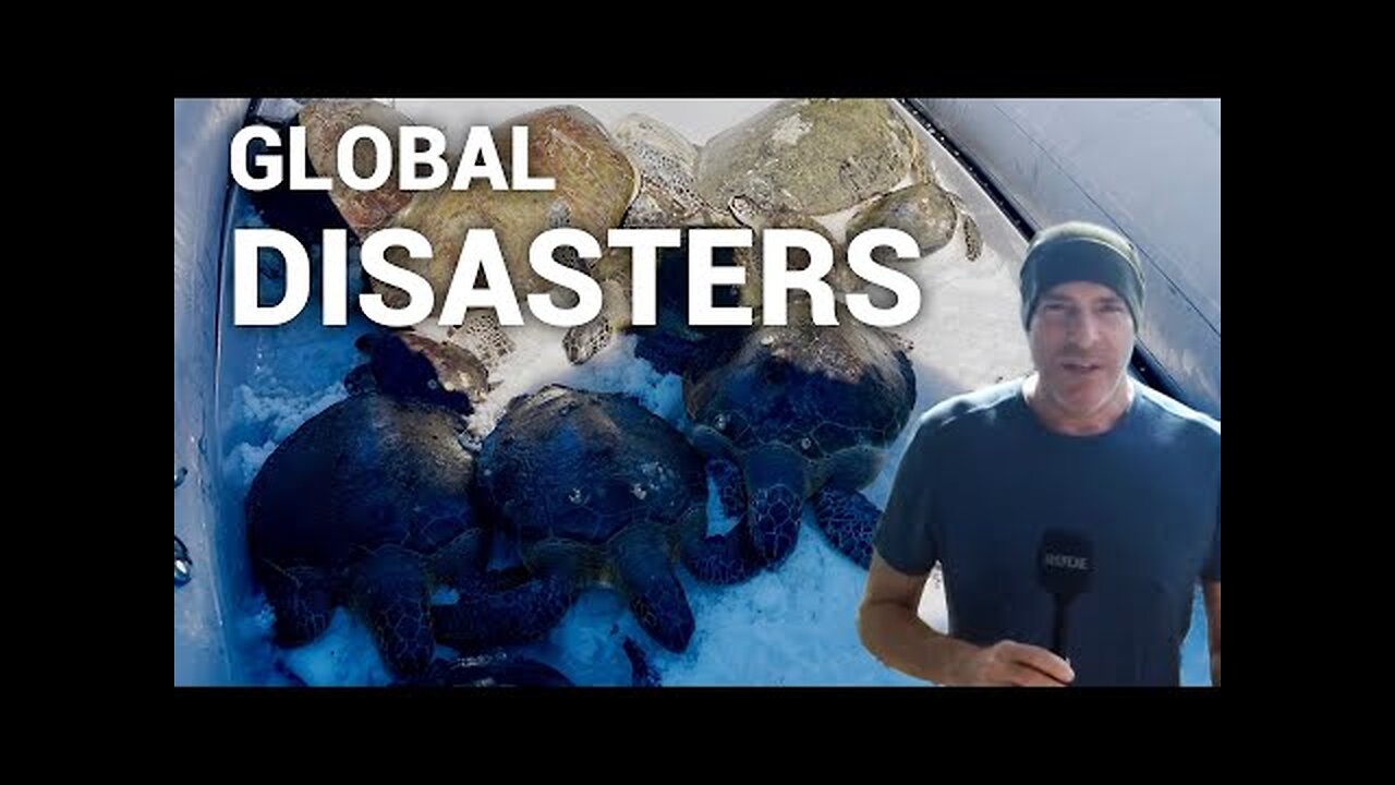 Unprecedented Disasters Strike Globally Wildlife in Crisis