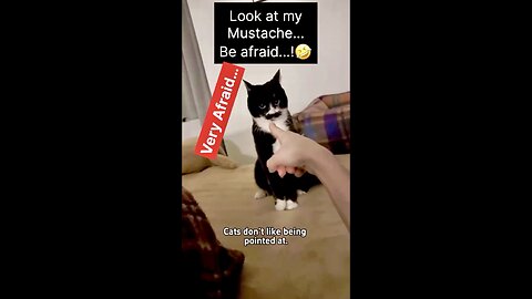 If you Point Fingers at me..!😡🤣#funny, #viral