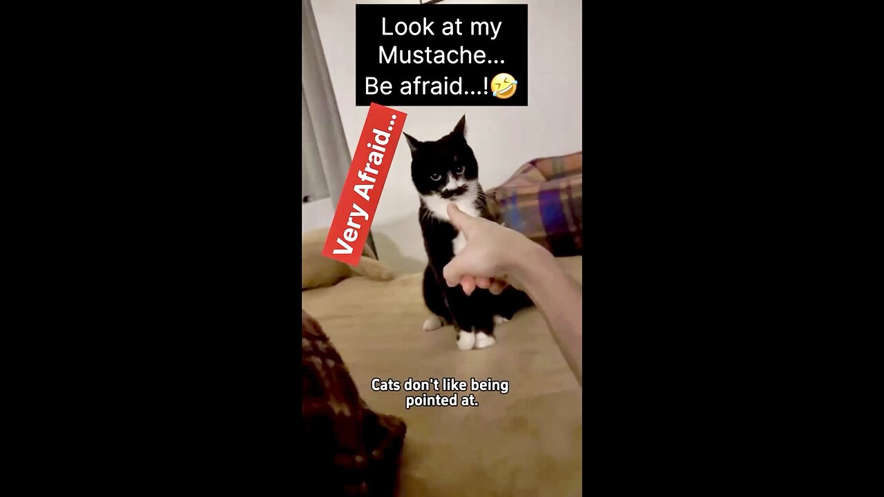 If you Point Fingers at me..!😡🤣#funny, #viral