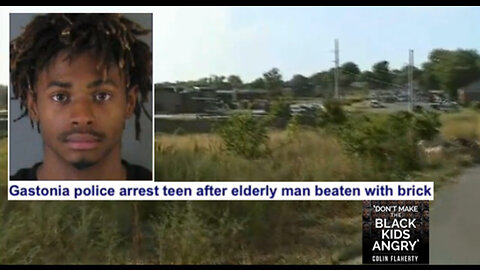 Colin Flaherty: Black Violence on elderly &Beat So Bad People Thought He Was Hit By A Car + Rape