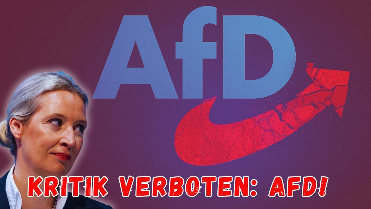 Im Kreuzfeuer: Unterstützung der AfD oder legitime Argumentation?