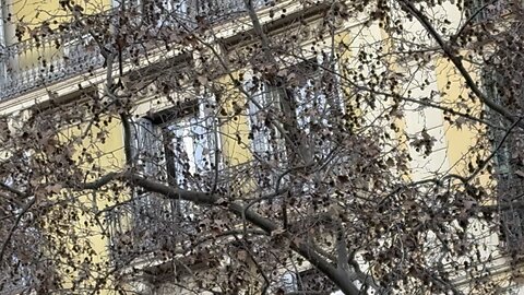 Personajes enigmáticos Barcelona 18