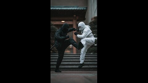 Ninja Fight 2