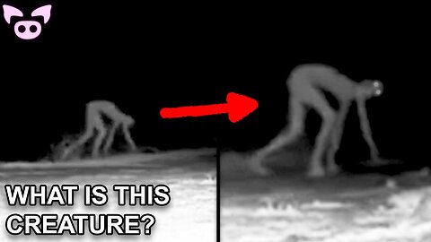 These Creepy Sightings Will Freak You Out!