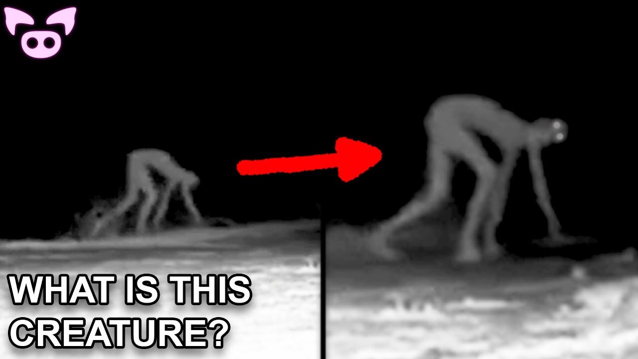 These Creepy Sightings Will Freak You Out!