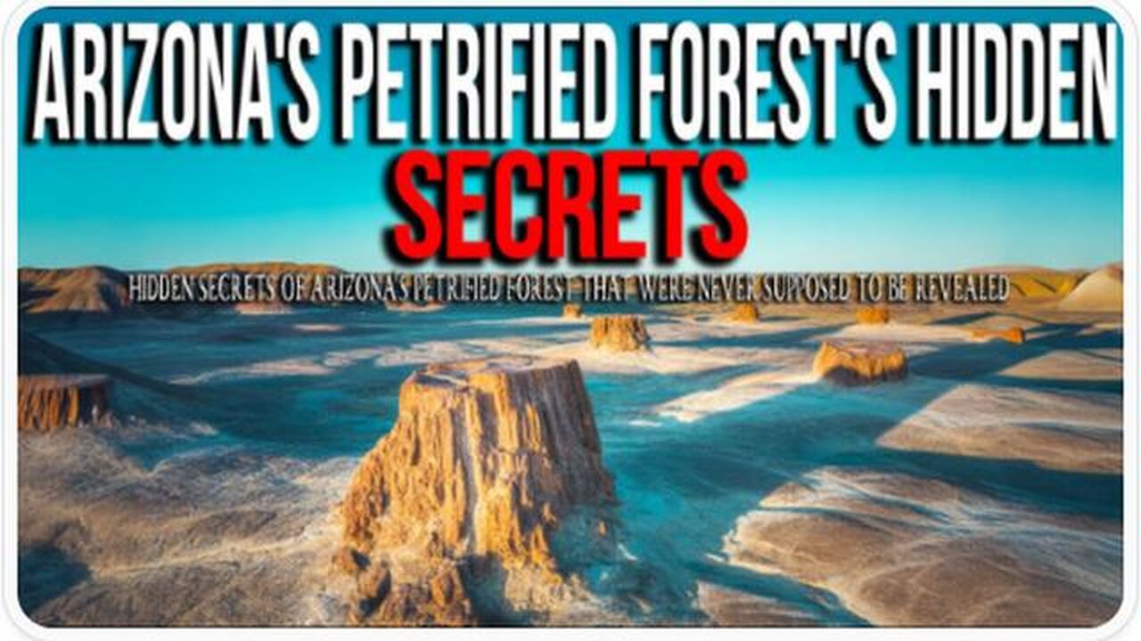 15 Mysteries from Arizonas Petrified Forest the World Wasnt Supposed to Know - Northern Mysteries
