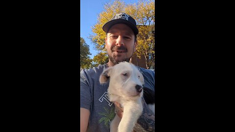 Life and Peace 🏳️🙏❤️ #life #peace #inspiration #GloryToGod