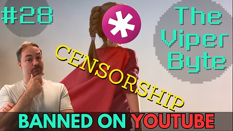 THEY BANNED THIS ON YOUTUBE! Collective Shout Karens want to DESTROY Gaming! | The Viper Byte EP 28