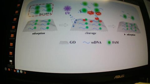 DNA damage caused by light-driven graphene oxide: a new mechanism