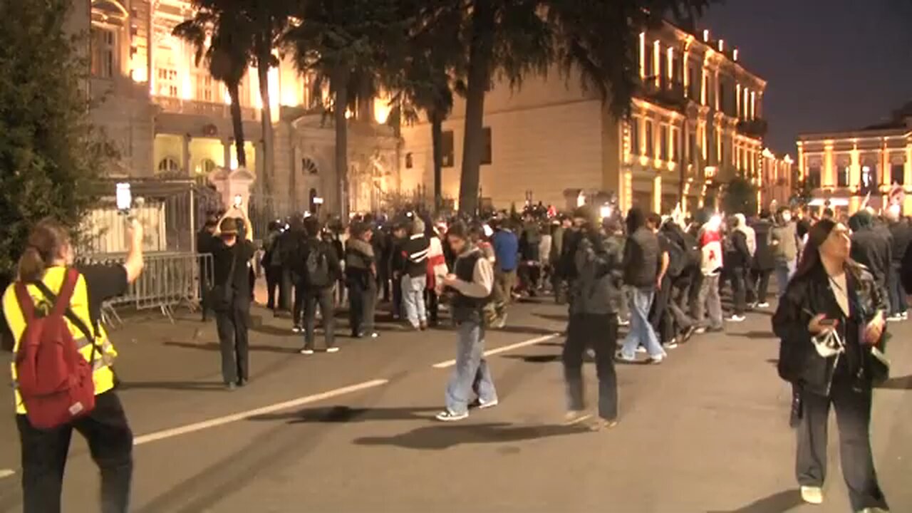 Georgian police fire tear gas as protestors try to enter presidential palace