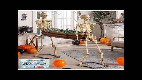 Skeleton Carrying Coffin Spooky Decoration Review