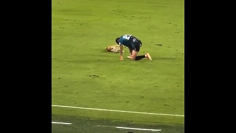 Un perro imita la caída de un jugador durante un partido de fútbol
